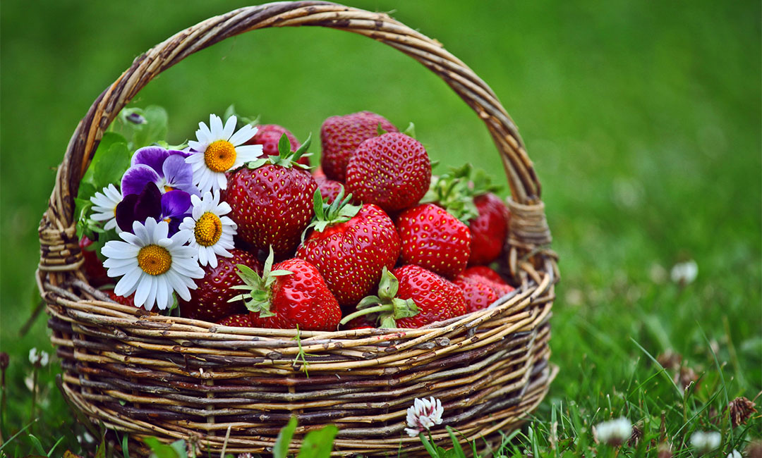 十堰点呀点水果电商APP开发案例